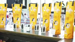 160803 BEVMO LOOP