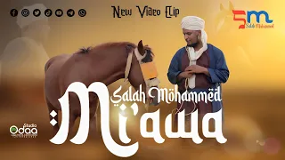 Download New Salah Mohammed Mi'awa Best Ethiopian Nasheed 2023 MP3