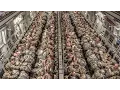 Download Lagu Paratroopers Static Line Jump From C-17