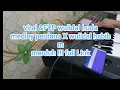 Lagu viral wulidal huda medley X wulidal habib merduh +Link