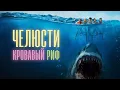 ЛЕГЕНДАРНЫЙ фильм ЧЕЛЮСТИ. КРОВАВЫЙ РИФ. Смотреть ФИЛЬМ онлайн бесплатно. Ужасы про акулу