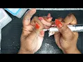 Acrylic soak off Pana 4x Coarse drill bit mini Review