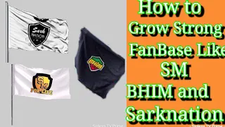 how to grow strong fanbase like shatta movement bhim nation and sarknation as an artist