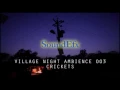 Download Lagu INDIAN Village Night Ambience 003 | Crickets | HD Sound Effects