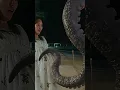 Download Lagu The giant octopus spared the pregnant woman! | Big Octopus | YOUKU MONSTER MOVIE