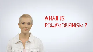 Software Engineer Technical Interview Questions What is Polymorphism in Java