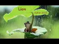 Download Lagu LION - Juillet 2025 ~ Sur le chemin de la béatitude ...