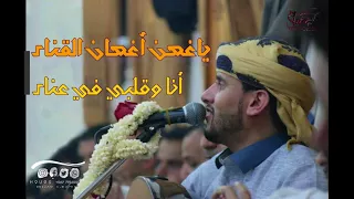 إستمع إلى أجمل أغنية للفنان حسين محب   ياغصن أغصان القناء        دندنها