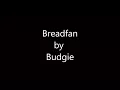 Breadfan by Budgie lyrics video