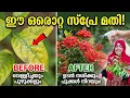Lagu ഈ കീടനാശിനി ഉണ്ടാക്കാൻ പഠിച്ചാൽ കീടങ്ങളുടെ ഉപദ്രവം പേടിക്കേ വേണ്ട 👌🏻👌🏻