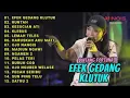 Download Lagu 10 BINTANG FORTUNA FULL ALBUM