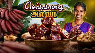 செவ்வாழை ஹல்வா | Traditional Red Banana Sweet! 🍯✨