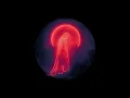 Dayseeker - Shapeshift ft. The Midnight (The Midnight Remix) [Slowed And Reverb]