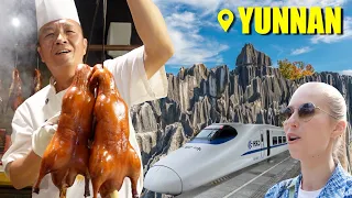 云南独有：中国最好吃的烤鸭、石林与4美元一等座火车