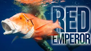 Manifesting a Red Emperor (Popao) Ep.70