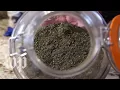 What is Kratom Find out why the FDA says this herb is an opioid