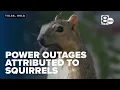 PSO attributes recent Jenks power outages to squirrels and equipment issues