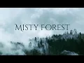 Download Lagu Misty Forest Ambience and Music | forest in drizzle with ambient fantasy music #ambientmusic