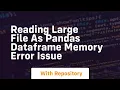 reading large file as pandas dataframe memory error issue