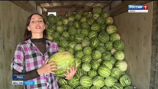 В Омской области началась арбузная пора