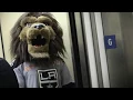 LA Kings Mascot Bailey Causes Uproar at CHLA