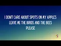 Counting Crows - Big Yellow Taxi ft. Vanessa Carlton (Lyrics)
