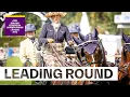Download Lagu Anna Mareike Meier makes Dressage look easy! | FEI Driving European Championship 2025