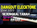 Lagu DANGDUT ELECKTONE VIRAL 2025/SEJENGKAL TANAH_MANSYUR S_COVER BY ANSAR