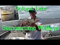 Oologah Lake Walleye Jig Fishing For Oklahoma Walleye s