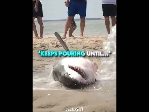 This Great White Wanted Help ❤️