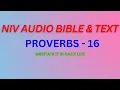 NIV BIBLE THE BOOK OF PROVERBS PROVERBS - 16 MEDITATE IT IN DAILY LIFE