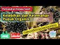 Download Lagu Berhitung Kelebihan dan Kekurangan Pupuk Organik Untuk Kelapa Sawit