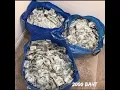 2000 Baht - Fuc you pord Reprod Reaper X