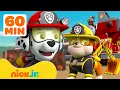 Best PAW Patrol Fire Rescue Moments! 🚒🔥 #5 | 60 Minutes | Nick Jr.