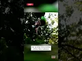 Dad Rescued 14-Year-Old Who Fell From Six Flags Ride