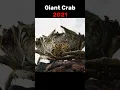 Download Lagu Evolution of Giant Crab #shorts #evolution