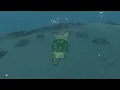 One advice regarding The Circle Of Rocks Korok Hunting in Breath Of The Wild
