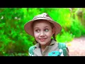 Dinosaurs & Wild Animals Adventures for Kids!