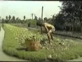 Download Lagu Just Stop Drinking!! || Thai Social
