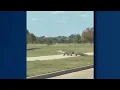Massive alligator spotted crossing street in Houston-area neighborhood