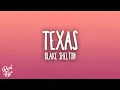 Download Lagu Blake Shelton - Texas