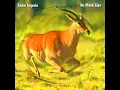 Tame Impala - No More Lies (Only Kevin Parker Sing)