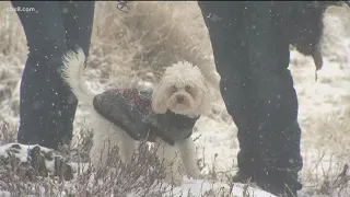 Locals react to the snow fall in Mount Laguna