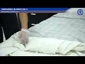 Safe Handling Of Soiled Linen