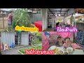 Download Lagu เก็บข้าวโพดไปต้ม เวลาเป็นเงินเป็นทอง.เปิดร้านแล้วจ้า กับข้าวเย็นแซ่บสุด #บ้านนอก #แม่บ้านอีสาน