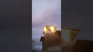 sp pribadi revisi 03 full birahi trik ala juss arfah tarikan tipis tipis 