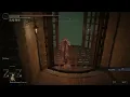 Thank you Fromsoftware