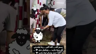 دي النتيجه لما بنت تدبح ذبيحه خروف Shorts 