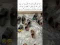Download Lagu Custom design for extra safety #shorts #funny #trending #music #love #viral #remix #shortvideo