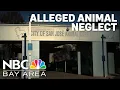 San Jose threatened with legal action over alleged neglect at animal shelter